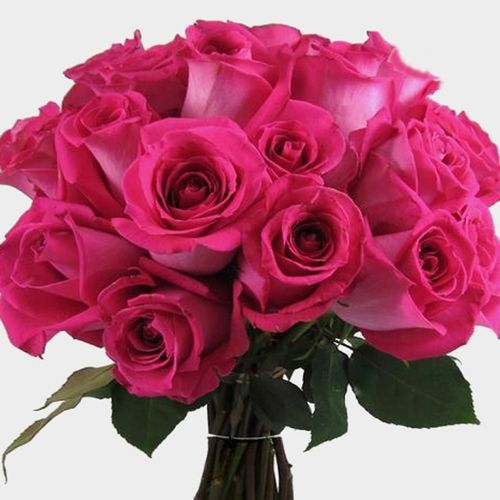 Rose Topaz Hot Pink 40cm