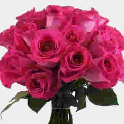 Rose Topaz Hot Pink 50 Cm.