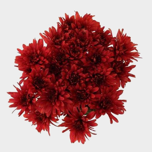 DIY Thanksgiving Flower Pack