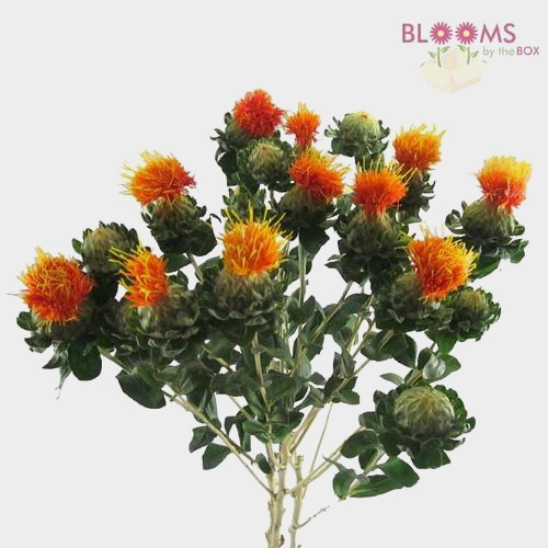 DIY Thanksgiving Flower Pack
