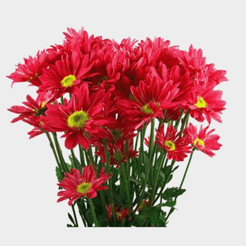 DIY Thanksgiving Flower Pack