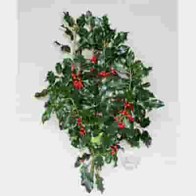 Green Holly Bunch