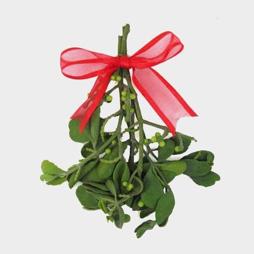 Bulk flowers online - Mistletoe Single Stem