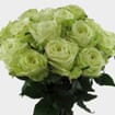 Rose Green Tea 40 cm. Bulk