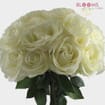 Rose Tibet 50 cm. Bulk