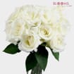 Rose White 40 cm. Bulk