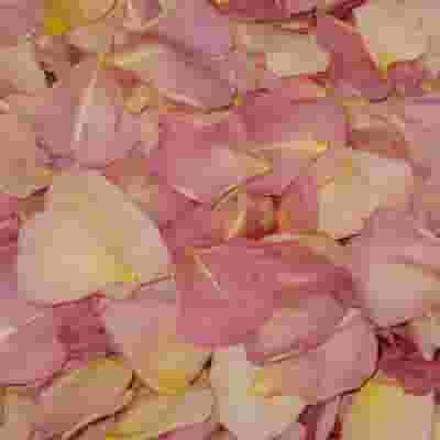 Sumptuous Romance Fd Rose Petals (30 Cups)