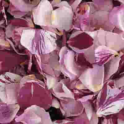 Passionate Kisses Fd Rose Petals (30 Cups)