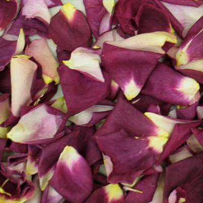 Pinky Purple Fresh Rose Petals