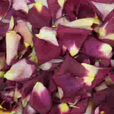 Love Purple Blend Rose Petals (30 Cups)
