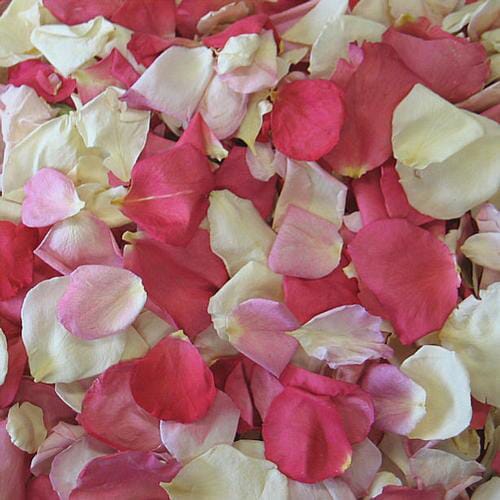 Bulk flowers online - Pretty In Pink Freeze Dried Rose Petals (30 Cups)