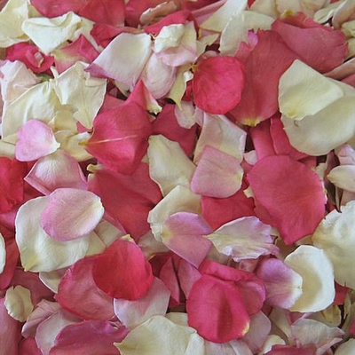 Valentine Red Preserved Freeze Dried Real Rose Petals