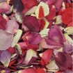 Lasting Love Fd Rose Petals (30 Cups)