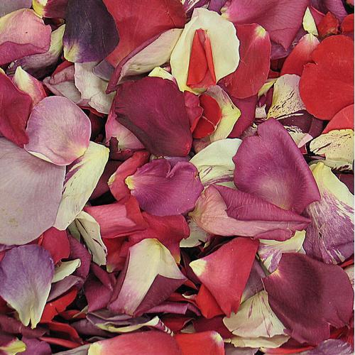 Freeze Dried Rose Petals, Love Blend, REAL rose petals