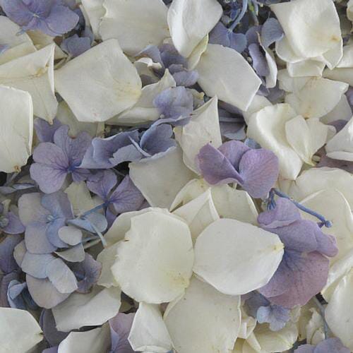 Wholesale flowers prices - buy Something Blue Rose & Hydrangea Petals (30 Cups) in bulk