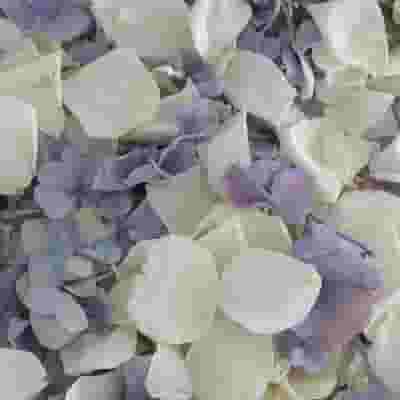 Something Blue Rose & Hydrangea Petals (30 Cups)