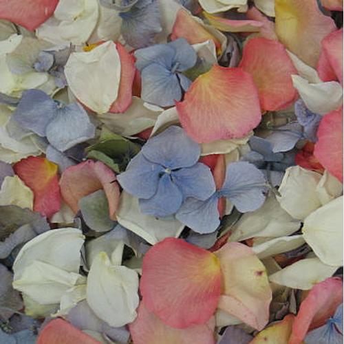 Spring Fling Fd Rose & Hydrangea Petals (30 Cups)