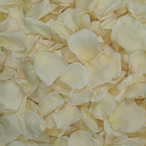 Bulk flowers online - Bridal White Rose Petals (30 Cups)