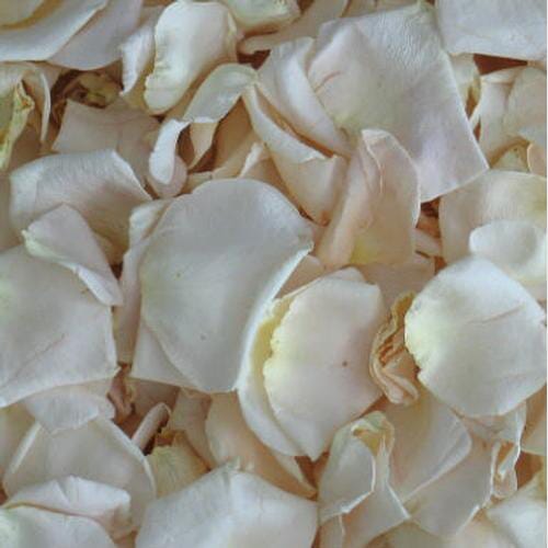 Bulk flowers online - Porcelana White Freeze Dried Rose Petals (30 Cups)