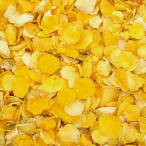 Assorted Flower Petals (30 Cups) - Wholesale - Blooms By The Box