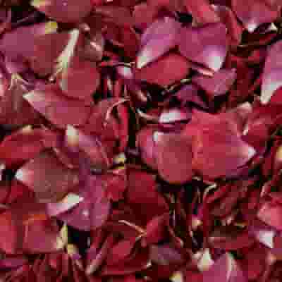 Showbiz Rose Petals (30 Cups)