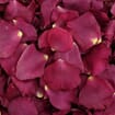 Fame Burgundy / Pink Rose Petals (30 Cups)