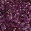 Ebb Tide Fd Rose Petals (30 Cups)