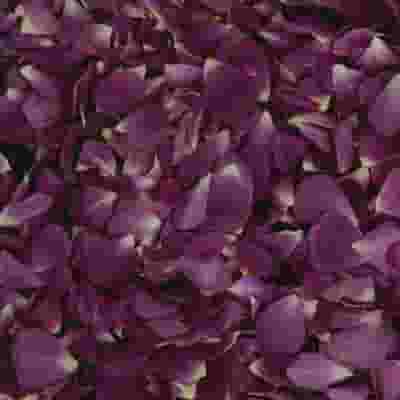 Ebb Tide Fd Rose Petals (30 Cups)