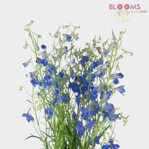 Patriotic DIY Flower Party Pack