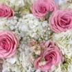 Pretty In Pink Baby Shower DIY Flower Pack