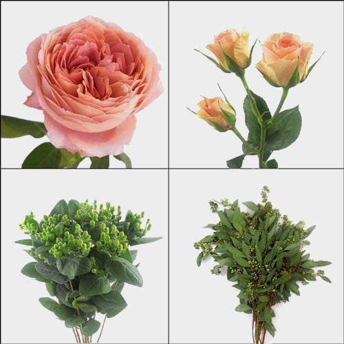 Wholesale flowers prices - buy Garden Rose DIY Flower Pack in bulk