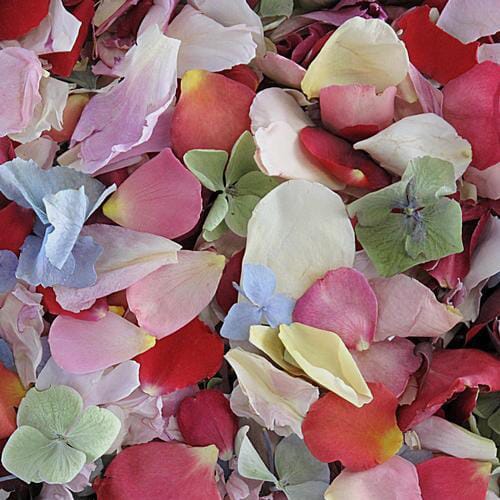 Real Pink Rose Petals. Flower Petals.200 CUPS. Freeze-dried Petals. Natural  Confetti. Dried Flower Petals. Wedding Petals. Grown in USA 