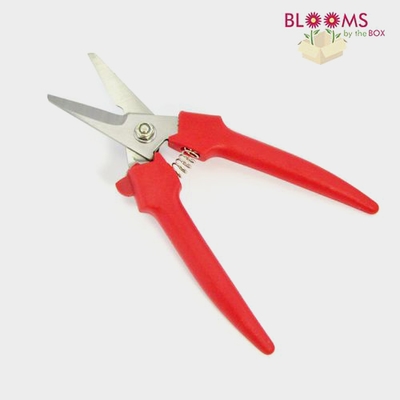 Floral Scissors - Wholesale - Blooms By The Box