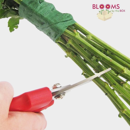 DIY Deluxe Floral Supply Kit Wholesale Blooms By The Box