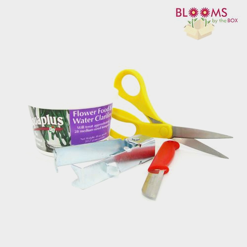 DIY Rose Prep Floral Supply Kit Wholesale Blooms By The Box