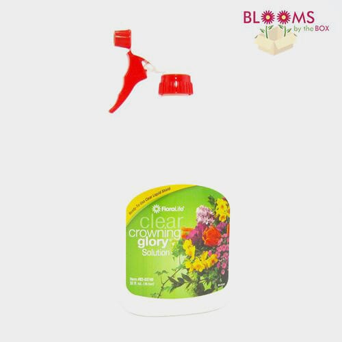 DIY Wedding Floral Supply Kit Wholesale Blooms By The Box