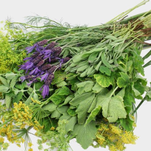 Bulk flowers online - Assorted Herbs (6 Bunches)