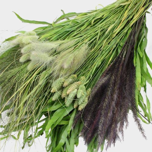 Wholesale flowers prices - buy Assorted Fancy Grasses (6 Bunches) in bulk