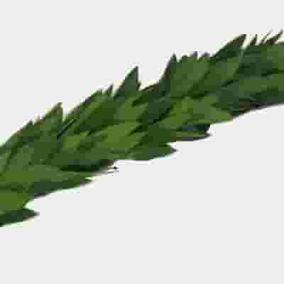 Garland Single Green - 25 Feet