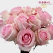 Rose Nena Light Pink 50cm