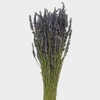 Lavender Dried