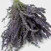 Lavender Dried Flower