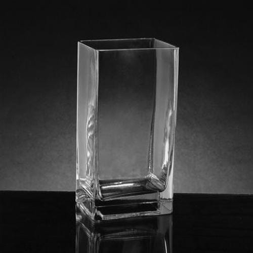 Small Rectangle Glass Vase (7