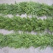Cedar and Douglas Garland 25 Feet 