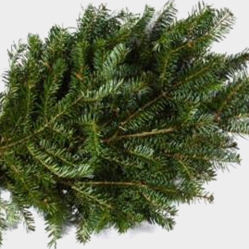 Balsam Tips 25 Lbs Box