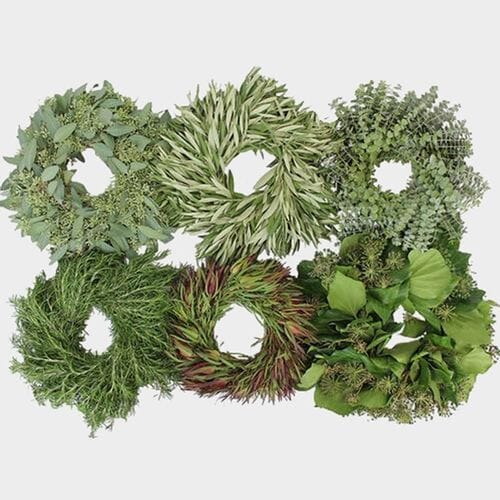 Wholesale flowers: Specialty Greens Wreath 12 Inch
