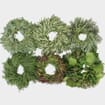 Specialty Greens Wreath 12 Inch