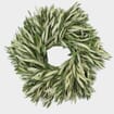 Specialty Greens Wreath 12 Inch