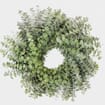 Specialty Greens Wreath 12 Inch