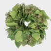 Specialty Greens Wreath 12 Inch